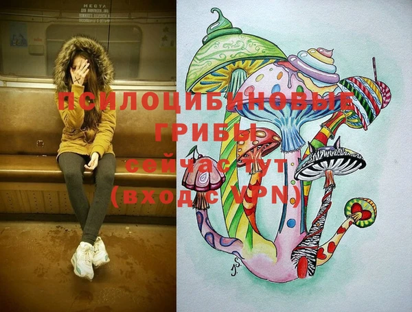 марки lsd Осташков