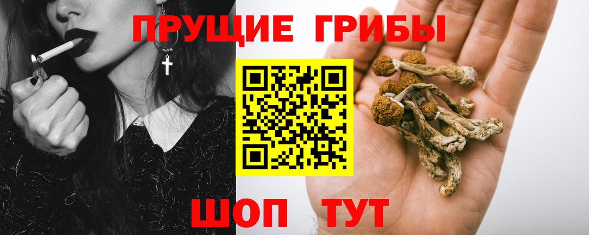 Псилоцибиновые грибы MAGIC MUSHROOMS  Галлюциногенные грибы прущие грибы  Новосибирск  Вход с VPN 